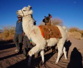 Ancient San Pedro de Atacama in Semiprivate